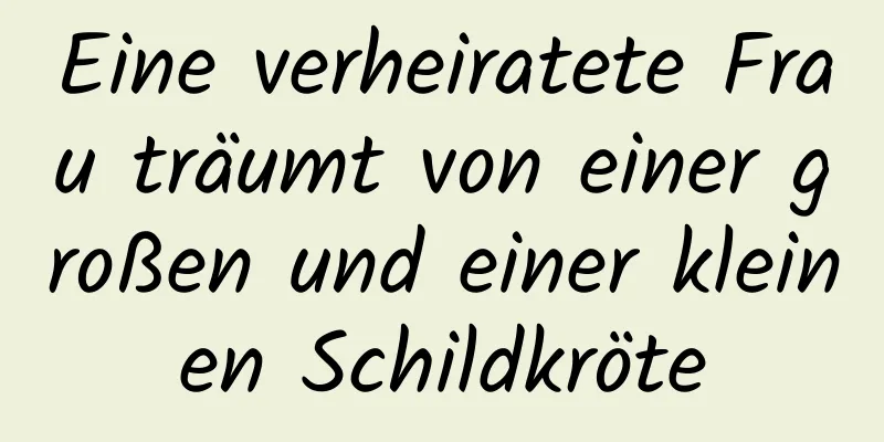 Eine verheiratete Frau träumt von einer großen und einer kleinen Schildkröte