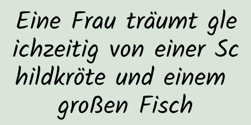 Eine Frau träumt gleichzeitig von einer Schildkröte und einem großen Fisch