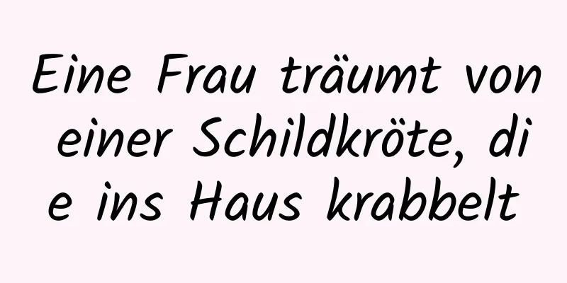 Eine Frau träumt von einer Schildkröte, die ins Haus krabbelt