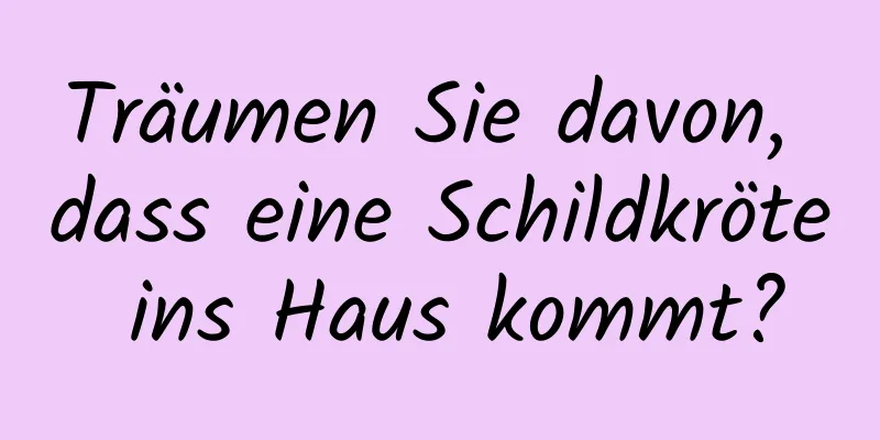 Träumen Sie davon, dass eine Schildkröte ins Haus kommt?