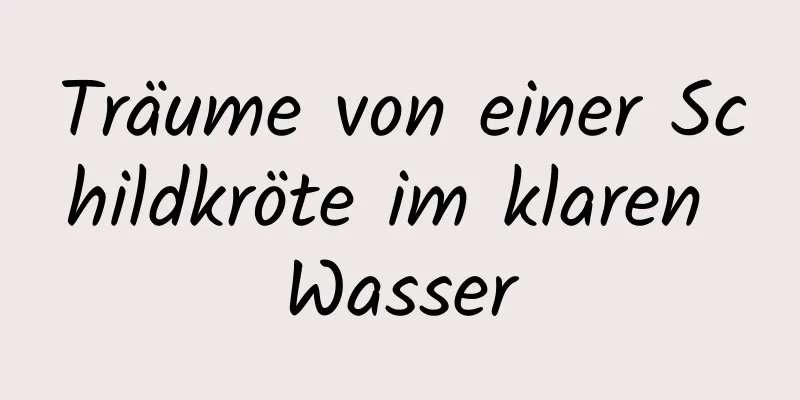 Träume von einer Schildkröte im klaren Wasser