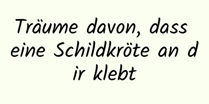 Träume davon, dass eine Schildkröte an dir klebt