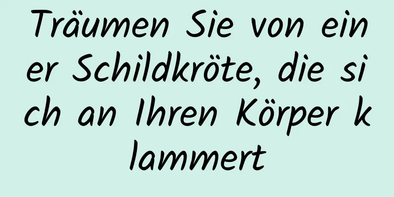 Träumen Sie von einer Schildkröte, die sich an Ihren Körper klammert