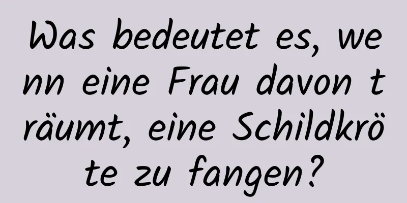 Was bedeutet es, wenn eine Frau davon träumt, eine Schildkröte zu fangen?