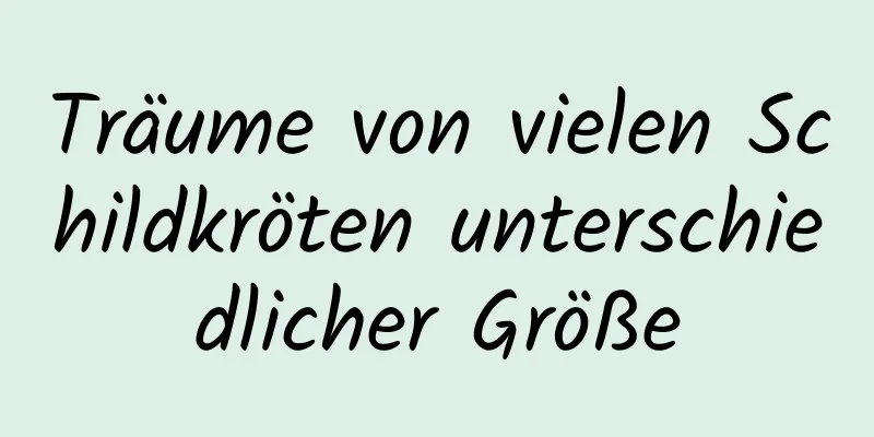 Träume von vielen Schildkröten unterschiedlicher Größe