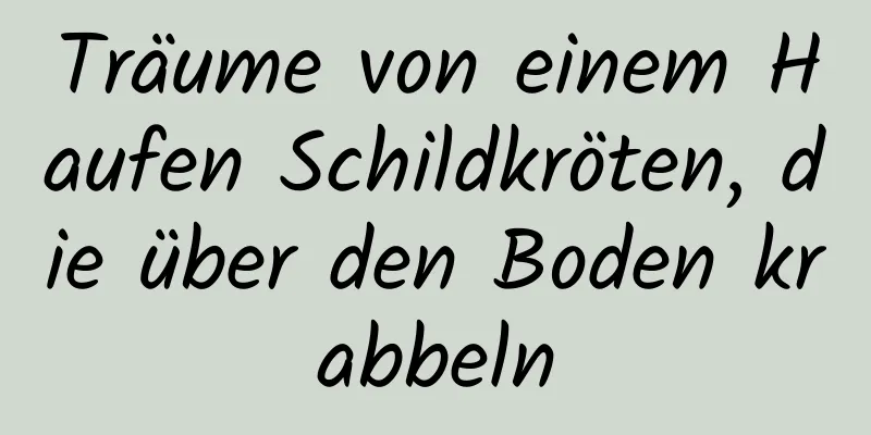 Träume von einem Haufen Schildkröten, die über den Boden krabbeln