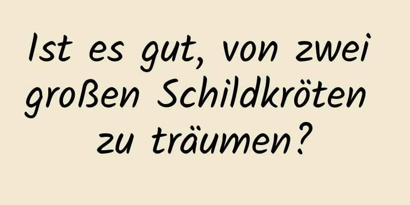 Ist es gut, von zwei großen Schildkröten zu träumen?