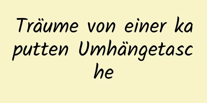 Träume von einer kaputten Umhängetasche