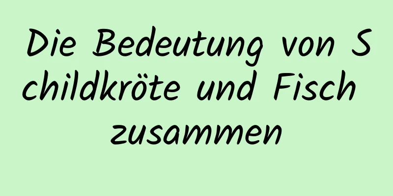 Die Bedeutung von Schildkröte und Fisch zusammen