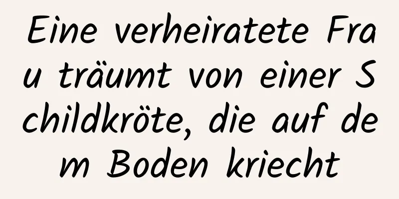 Eine verheiratete Frau träumt von einer Schildkröte, die auf dem Boden kriecht