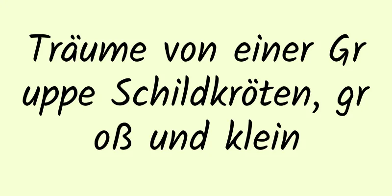 Träume von einer Gruppe Schildkröten, groß und klein