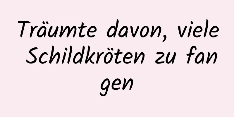 Träumte davon, viele Schildkröten zu fangen