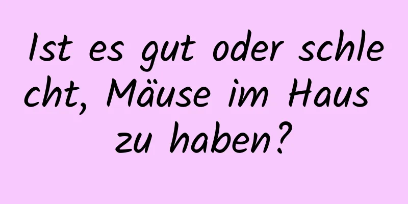 Ist es gut oder schlecht, Mäuse im Haus zu haben?