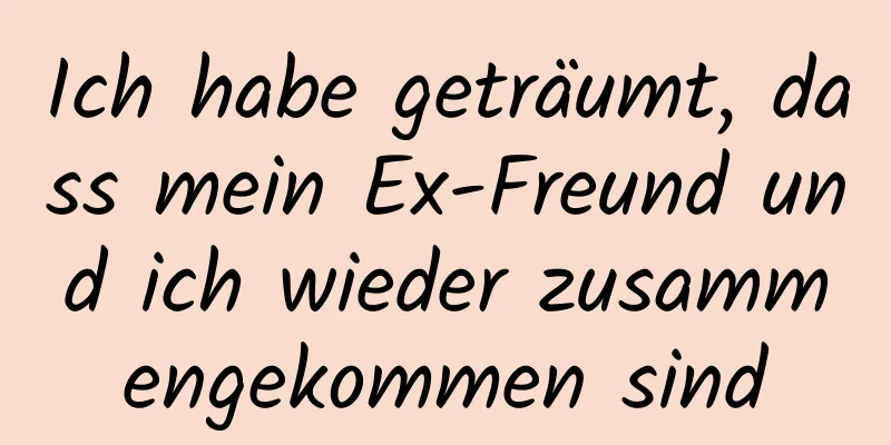 Ich habe geträumt, dass mein Ex-Freund und ich wieder zusammengekommen sind