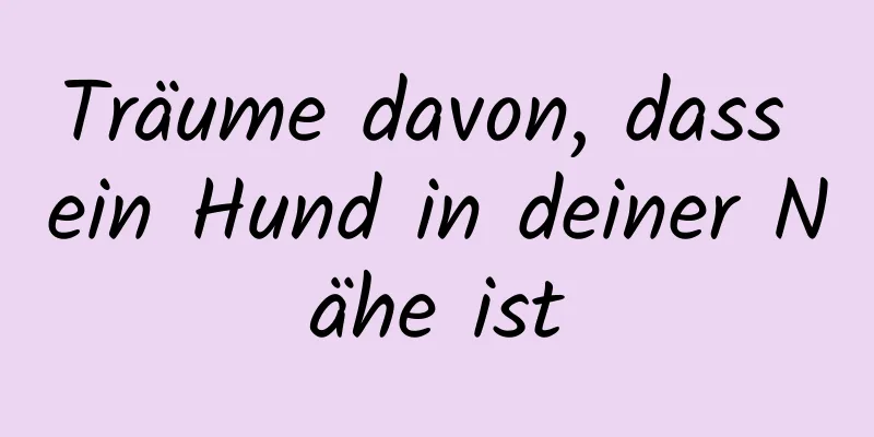 Träume davon, dass ein Hund in deiner Nähe ist