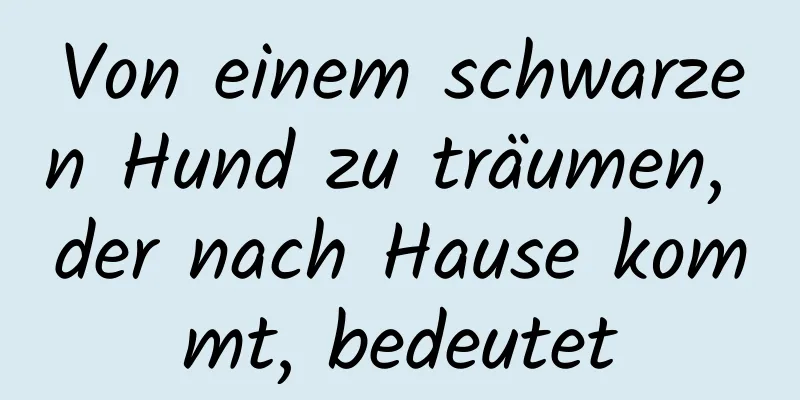 Von einem schwarzen Hund zu träumen, der nach Hause kommt, bedeutet