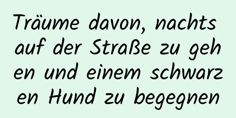 Träume davon, nachts auf der Straße zu gehen und einem schwarzen Hund zu begegnen