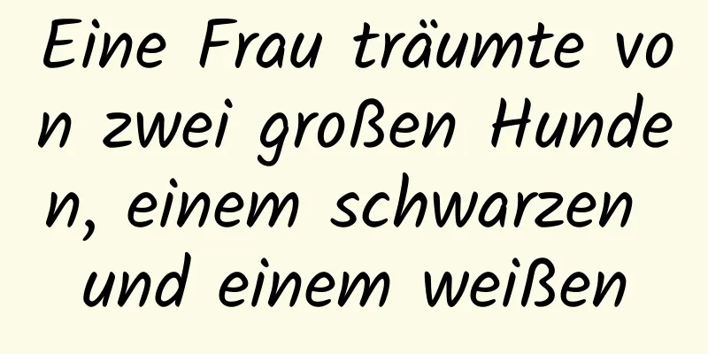 Eine Frau träumte von zwei großen Hunden, einem schwarzen und einem weißen