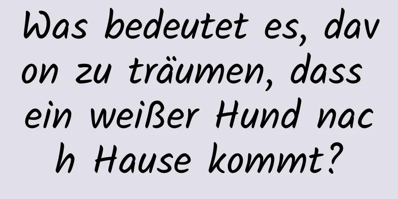 Was bedeutet es, davon zu träumen, dass ein weißer Hund nach Hause kommt?