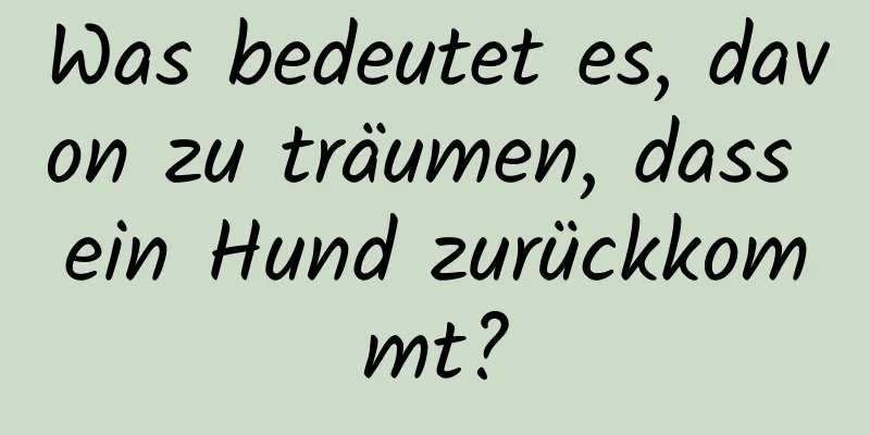 Was bedeutet es, davon zu träumen, dass ein Hund zurückkommt?