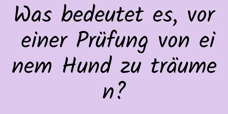 Was bedeutet es, vor einer Prüfung von einem Hund zu träumen?