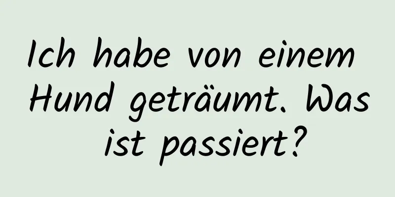 Ich habe von einem Hund geträumt. Was ist passiert?