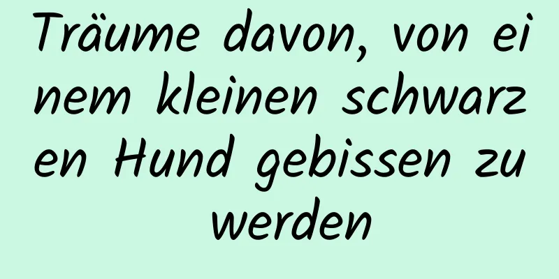 Träume davon, von einem kleinen schwarzen Hund gebissen zu werden