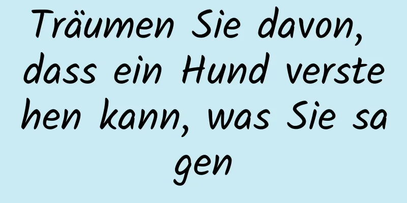 Träumen Sie davon, dass ein Hund verstehen kann, was Sie sagen