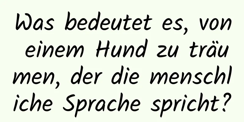 Was bedeutet es, von einem Hund zu träumen, der die menschliche Sprache spricht?