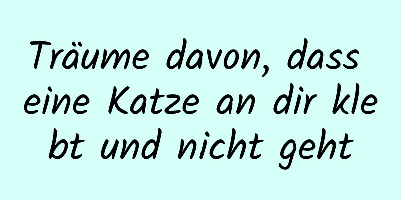 Träume davon, dass eine Katze an dir klebt und nicht geht