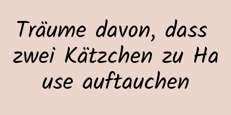 Träume davon, dass zwei Kätzchen zu Hause auftauchen