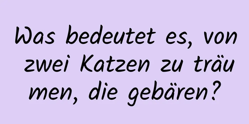 Was bedeutet es, von zwei Katzen zu träumen, die gebären?