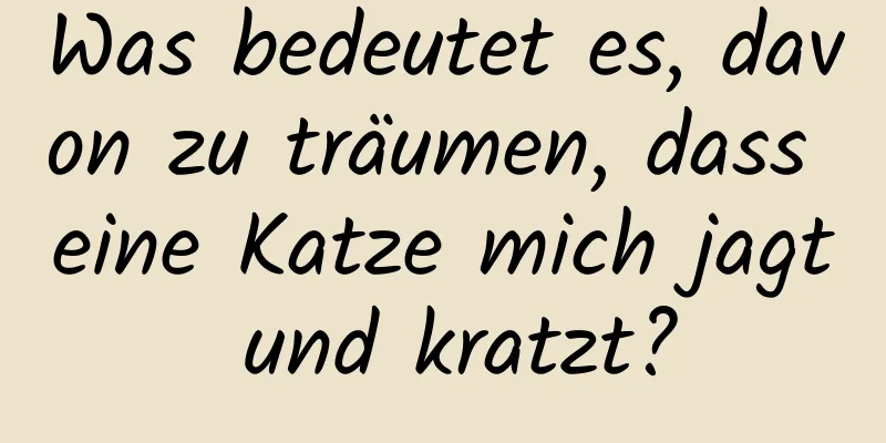 Was bedeutet es, davon zu träumen, dass eine Katze mich jagt und kratzt?