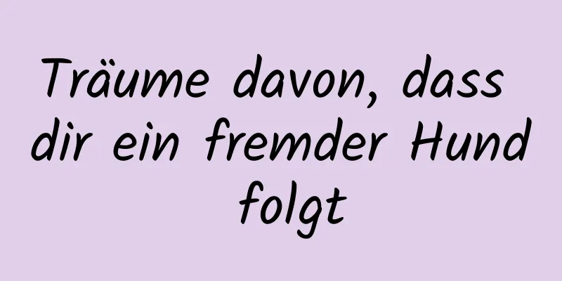 Träume davon, dass dir ein fremder Hund folgt