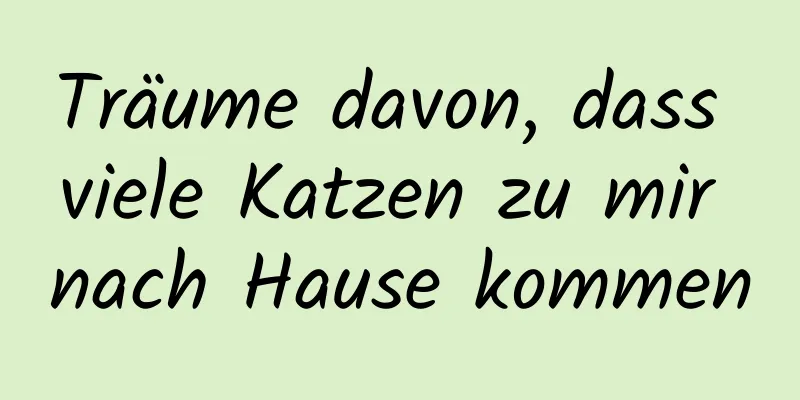 Träume davon, dass viele Katzen zu mir nach Hause kommen