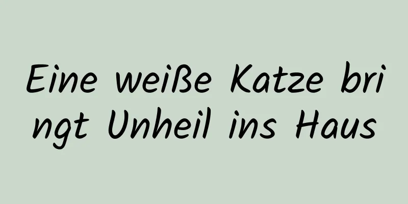 Eine weiße Katze bringt Unheil ins Haus