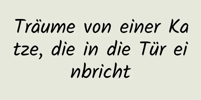 Träume von einer Katze, die in die Tür einbricht