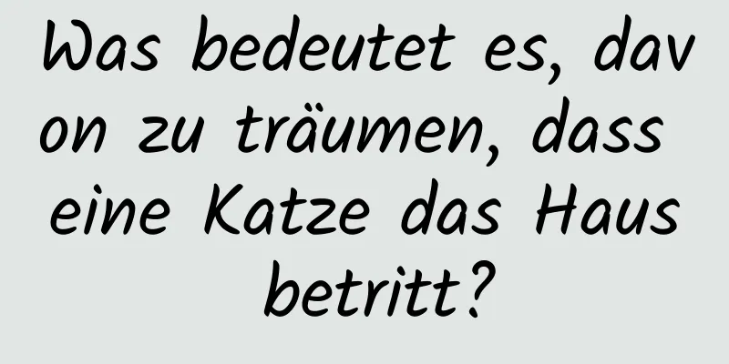 Was bedeutet es, davon zu träumen, dass eine Katze das Haus betritt?