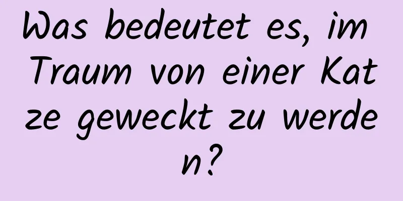 Was bedeutet es, im Traum von einer Katze geweckt zu werden?