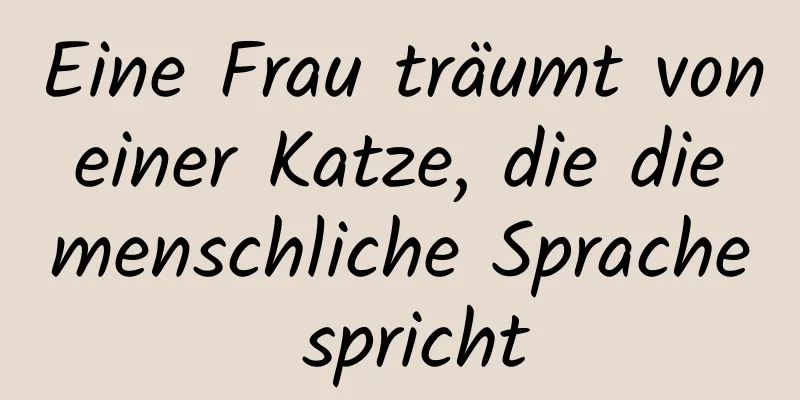 Eine Frau träumt von einer Katze, die die menschliche Sprache spricht