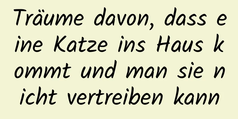 Träume davon, dass eine Katze ins Haus kommt und man sie nicht vertreiben kann