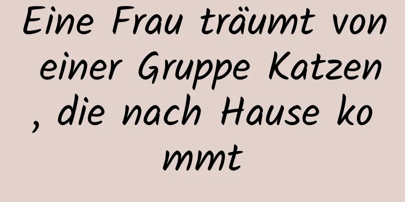 Eine Frau träumt von einer Gruppe Katzen, die nach Hause kommt