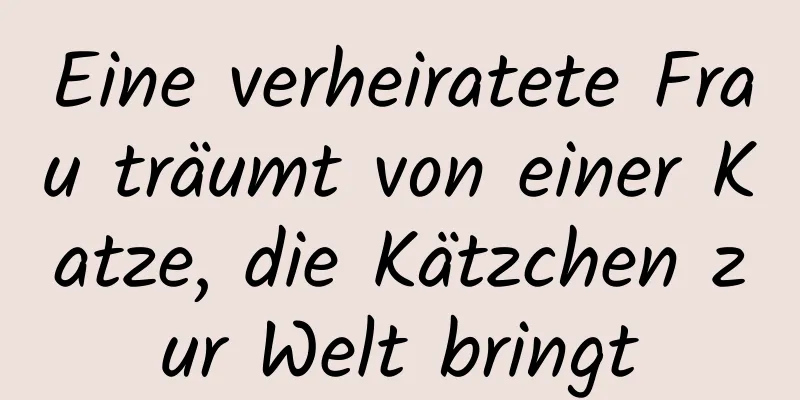 Eine verheiratete Frau träumt von einer Katze, die Kätzchen zur Welt bringt