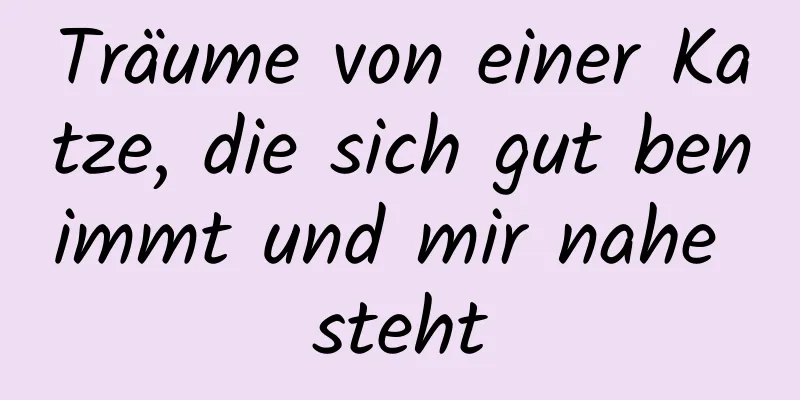 Träume von einer Katze, die sich gut benimmt und mir nahe steht