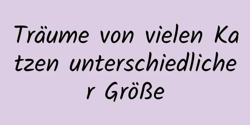 Träume von vielen Katzen unterschiedlicher Größe