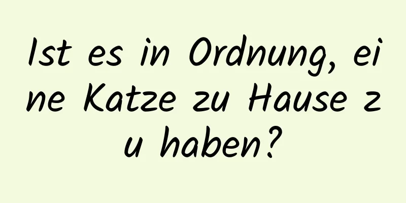 Ist es in Ordnung, eine Katze zu Hause zu haben?