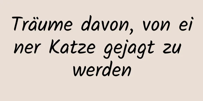 Träume davon, von einer Katze gejagt zu werden