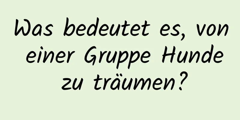 Was bedeutet es, von einer Gruppe Hunde zu träumen?