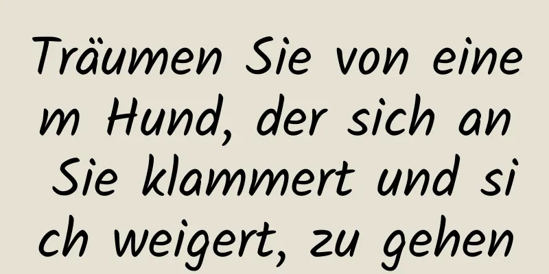 Träumen Sie von einem Hund, der sich an Sie klammert und sich weigert, zu gehen