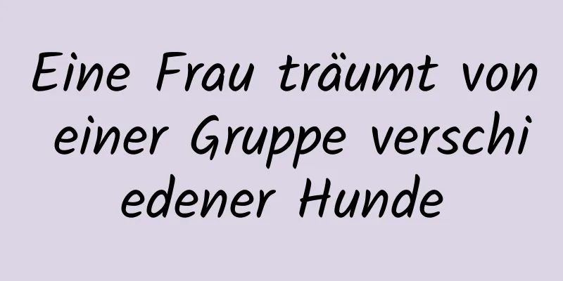 Eine Frau träumt von einer Gruppe verschiedener Hunde